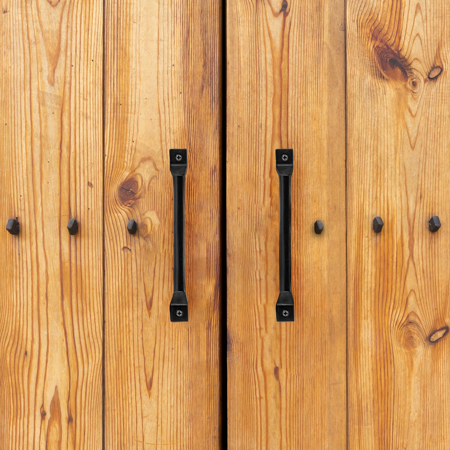 Castleton Cast Iron Handles (Set of 2)